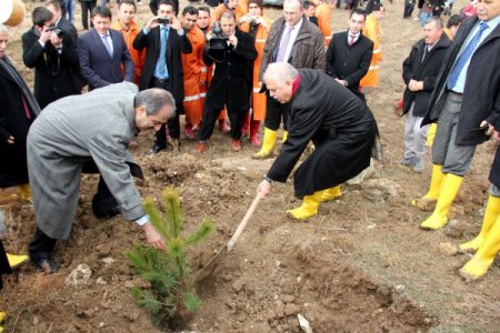 Çankırı, '18 Milyon Fidan Projesi' ile yeşillenecek