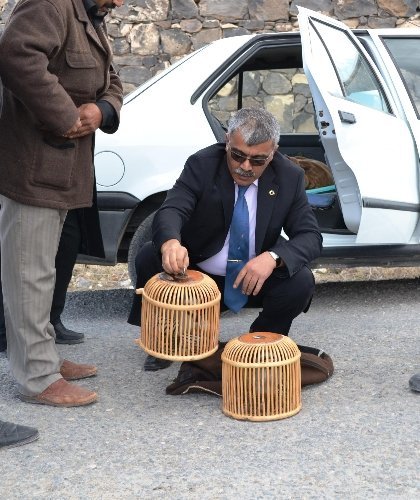 Canlı keklik satanlara 10 bin lira para cezası kesildi