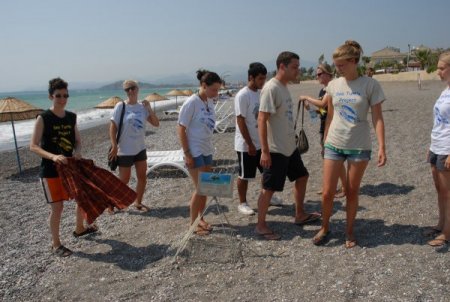 Caretta Yavruları Denize Ulaşsın Diye Nöbet Tutuyorlar