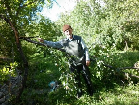 Çataksu Köyü Yabani Hayvanların İstilasına Uğradı