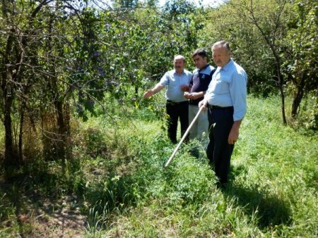 Çataksu Köyü Yabani Hayvanların İstilasına Uğradı