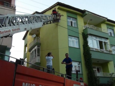 Çatıda 2 gün mahsur kalan kedi için itfaiye seferber oldu