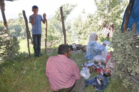 Çatışma bölgelerinde şimdi çocuk cıvıltıları yükseliyor