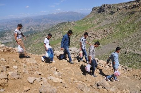 Çatışma bölgelerinde şimdi çocuk cıvıltıları yükseliyor