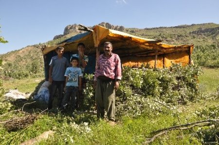 Çatışma bölgelerinde şimdi çocuk cıvıltıları yükseliyor