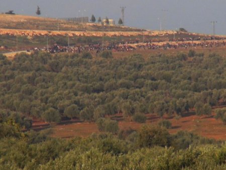 Çatışmalardan kaçan Suriyeli askerler Hatay’da