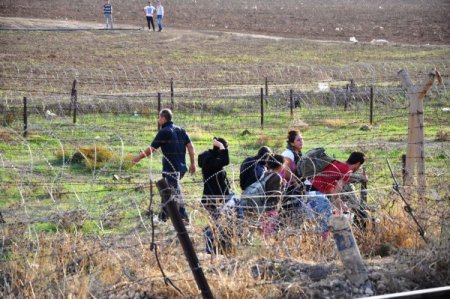 Çatışmalardan kaçan Suriyeliler, Derbesiye’den Türkiye sınırına akın ediyor