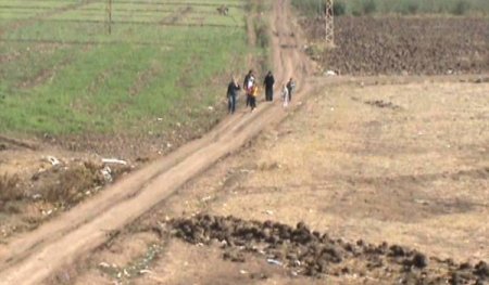 Çatışmaların dinmediği Harim’den yaya olarak kaçıyorlar