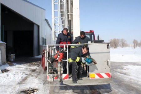 Çatıya Düşen Yaralı Tavus Kuşunu İtfaiye Kurtardı