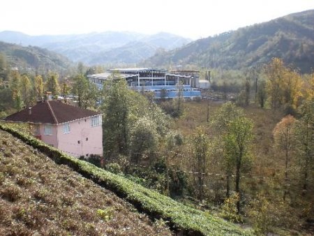 Çay Fabrikasında Çıkan Yangında Tonlarca Kuru Çay Kül Oldu