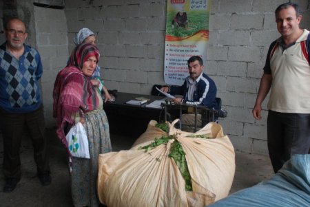 Çay Üreticisi Özel Sektörden Şikayetçi
