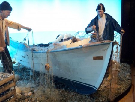 Çayeli Doğal Yaşam Müzesi açılıyor