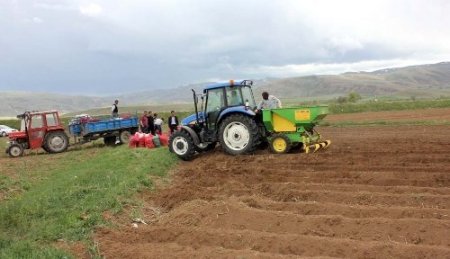 Çayırlı ilçesi patates üretimiyle gün yüzüne çıkacak