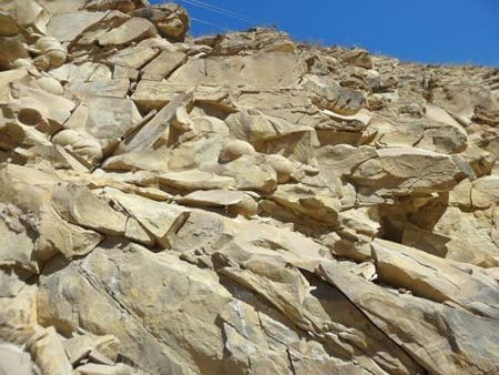 Çeçenistan’da Dinozor Yumurtası Fosilleri Bulundu