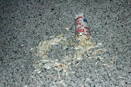 Çekirdek Kabukları Yüzünden Çıkan Tartışma Kanlı Bitti: 1 Yaralı