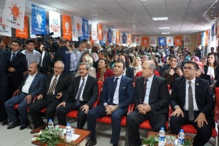 Çelik: Çözüm insiyatifini CHP, MHP ve BDP tabanı da destekliyor