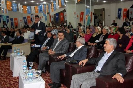 Çelik: Çözüm süreci karşı çıkanları çözecek