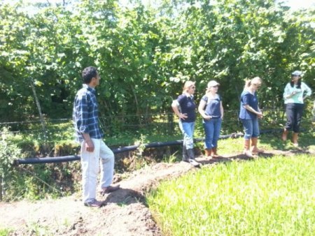 Çeltikte Yabancı Ot İle Mücadele Başladı