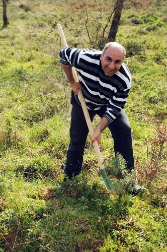 Cem Vakfı fidan dikti