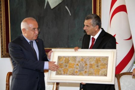 Cemil Çiçek'ten Kktc'ye Reform Çağrısı