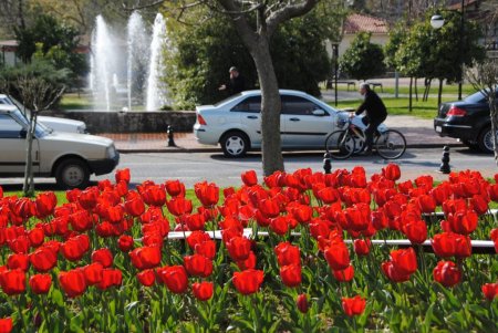 Cemre yarın toprağa düşecek