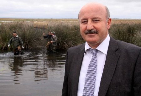 Cennette üreyecek kuşları, yırtıcılardan sazlıktan yuvalar koruyacak