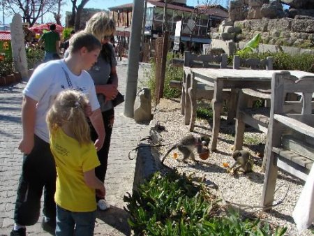 Çeri Eşini Bulunca Çekirdek Çitletmekten Vazgeçti