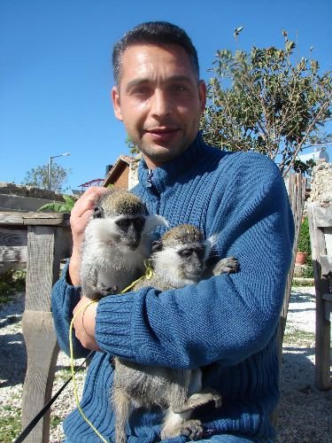 Çeri Eşini Bulunca Çekirdek Çitletmekten Vazgeçti