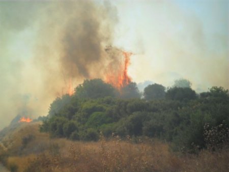 Çeşme'de Makilik Alandaki Yangın Kontrol Altına Alındı