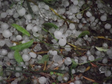 Ceviz Büyüklüğündeki Dolu, Edremitlilere Zor Anlar Yaşattı