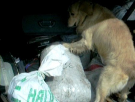 Ceviz çuvalından eroin çıktı