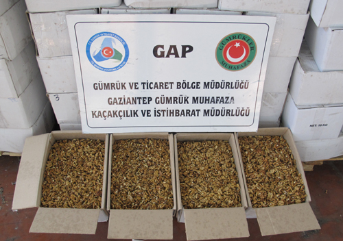 ceviz-yakalama-3.jpg ceviz-yakalama-3.jpg