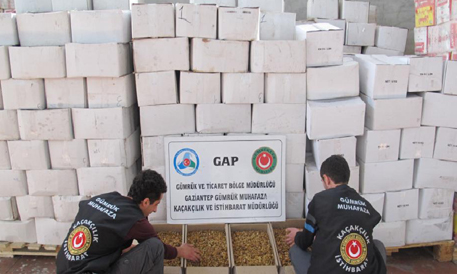 ceviz-yakalama.jpg ceviz-yakalama.jpg