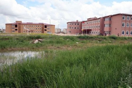 Çevre Düzenlemesi Yapılmayan Okullarda Kurbağa Sorunu Yaşanıyor