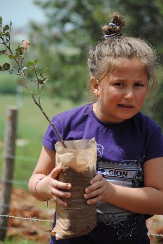 Çevre gönüllüleri Manavgat'ta bin fidan dikti