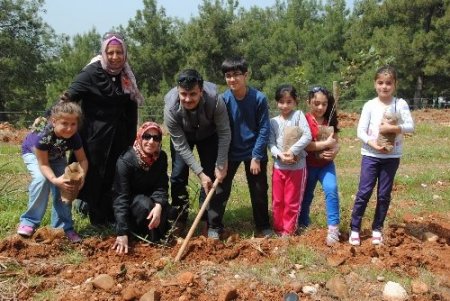 Çevre gönüllüleri Manavgat'ta bin fidan dikti