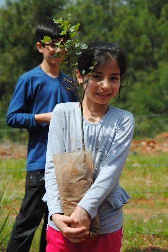 Çevre gönüllüleri Manavgat'ta bin fidan dikti