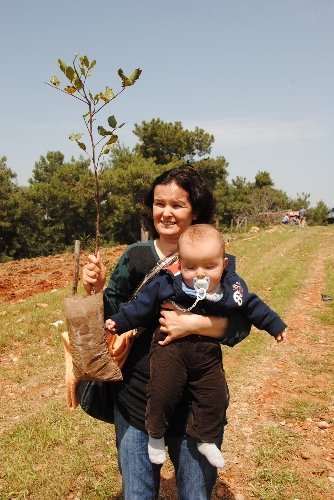 Çevre gönüllüleri Manavgat'ta bin fidan dikti