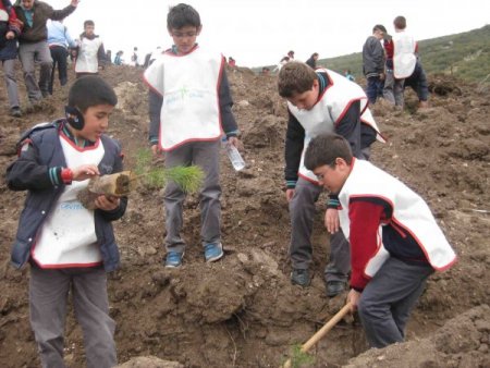 Çevreci 400 Çocuk, 400 Ağaç Dikti