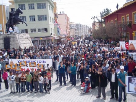 Çevreciler, Termik Santrale Süpürgeyle ‘hayır’ Dedi