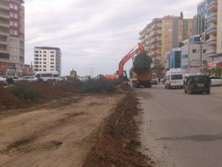 Çevreciler, yol inşaatı sırasındaki ağaç kesimine tepki gösterdi