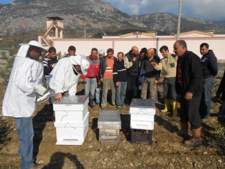 Cezaevinde arı yetiştirmeyi öğreniyorlar