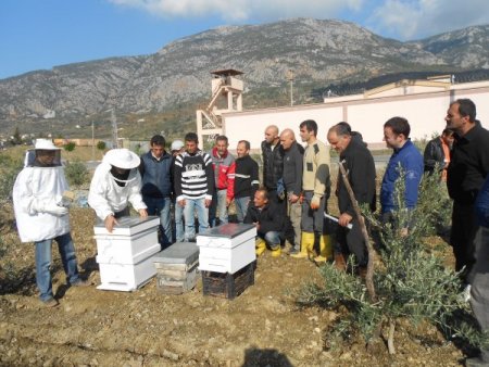 Cezaevinde arı yetiştirmeyi öğreniyorlar