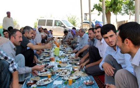 Cezalar caydırmayınca STK’lar anız yangını için köylere indi