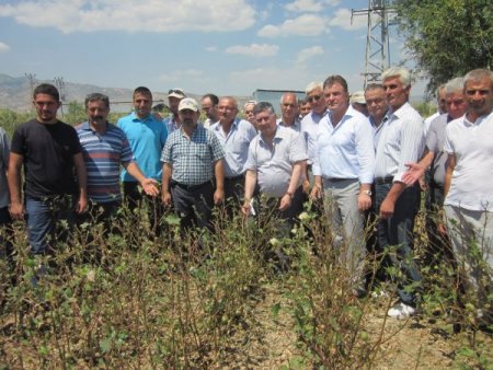 Chp Milletvekili Keskin, Denizli’de Dolu Vuran Tarlaları İnceledi