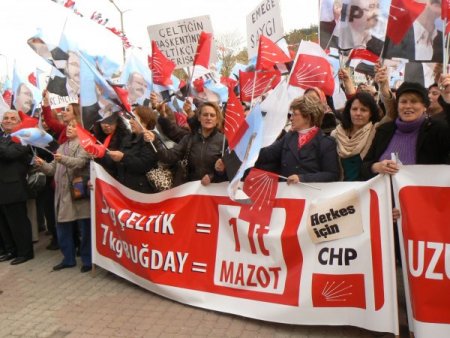CHP'li Günaydın: Çeltik ithalatına yılda 150-250 milyon dolar ödeniyor