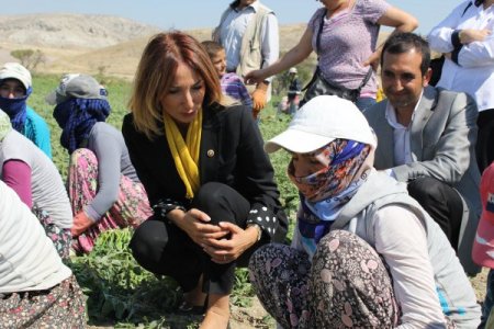 CHP'li Nazlıaka, Beypazarı'nda mevsimlik işçilerin sorunlarını dinledi