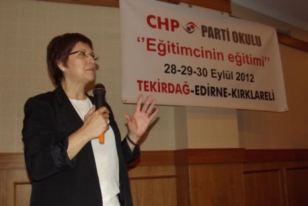 CHP'li Sarı: Düşünce olarak büyükşehirin bütününe karşı değiliz