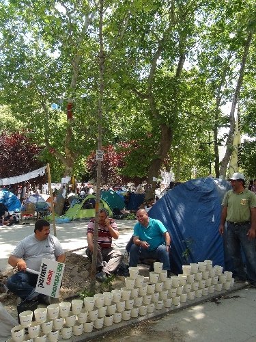 CHP’liler, Gezi Parkı’nda Abdullah Cömert fidanı dikti