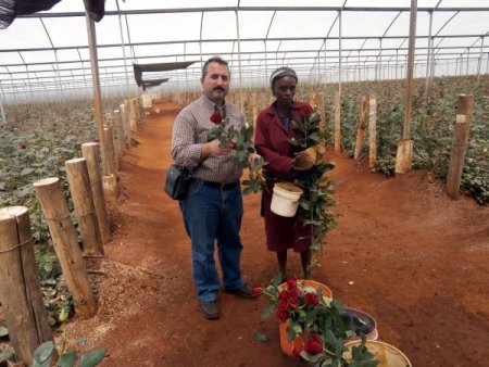 Çiçekler artık Hollanda’dan değil, Kenya’dan geliyor (Özel)